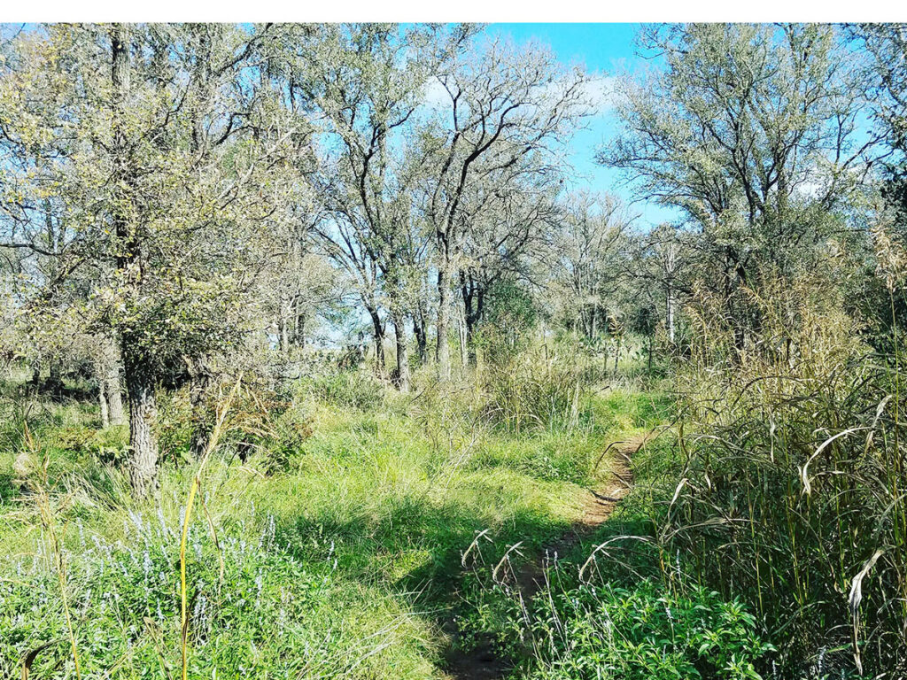 Garage Door Repair Florence, TX
